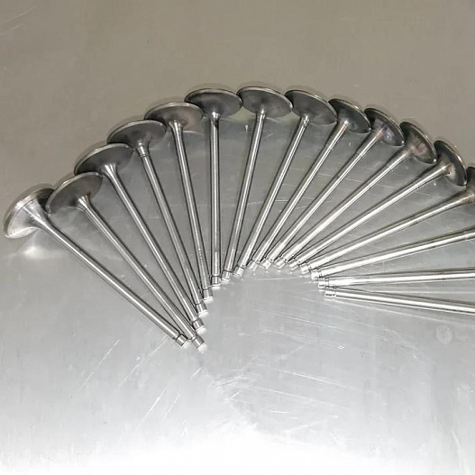 Valve rods