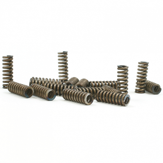 Globe valve springs 